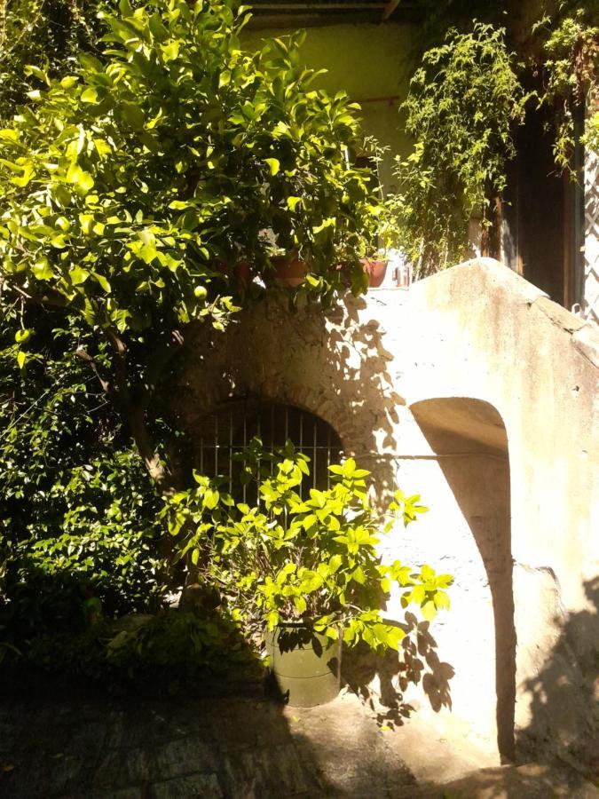 CastelveccanaNonna Anita住宿加早餐旅馆 外观 照片