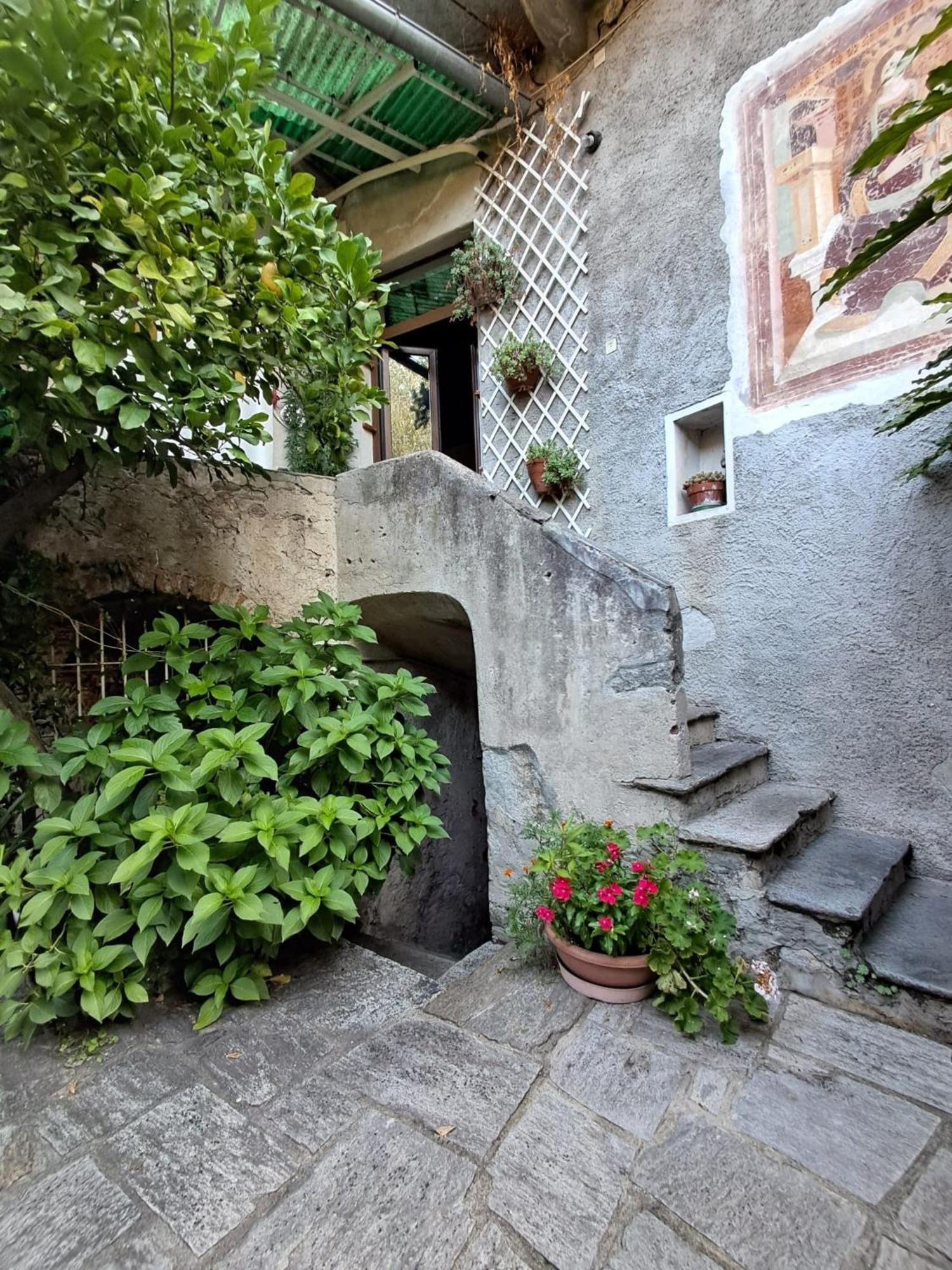 CastelveccanaNonna Anita住宿加早餐旅馆 外观 照片