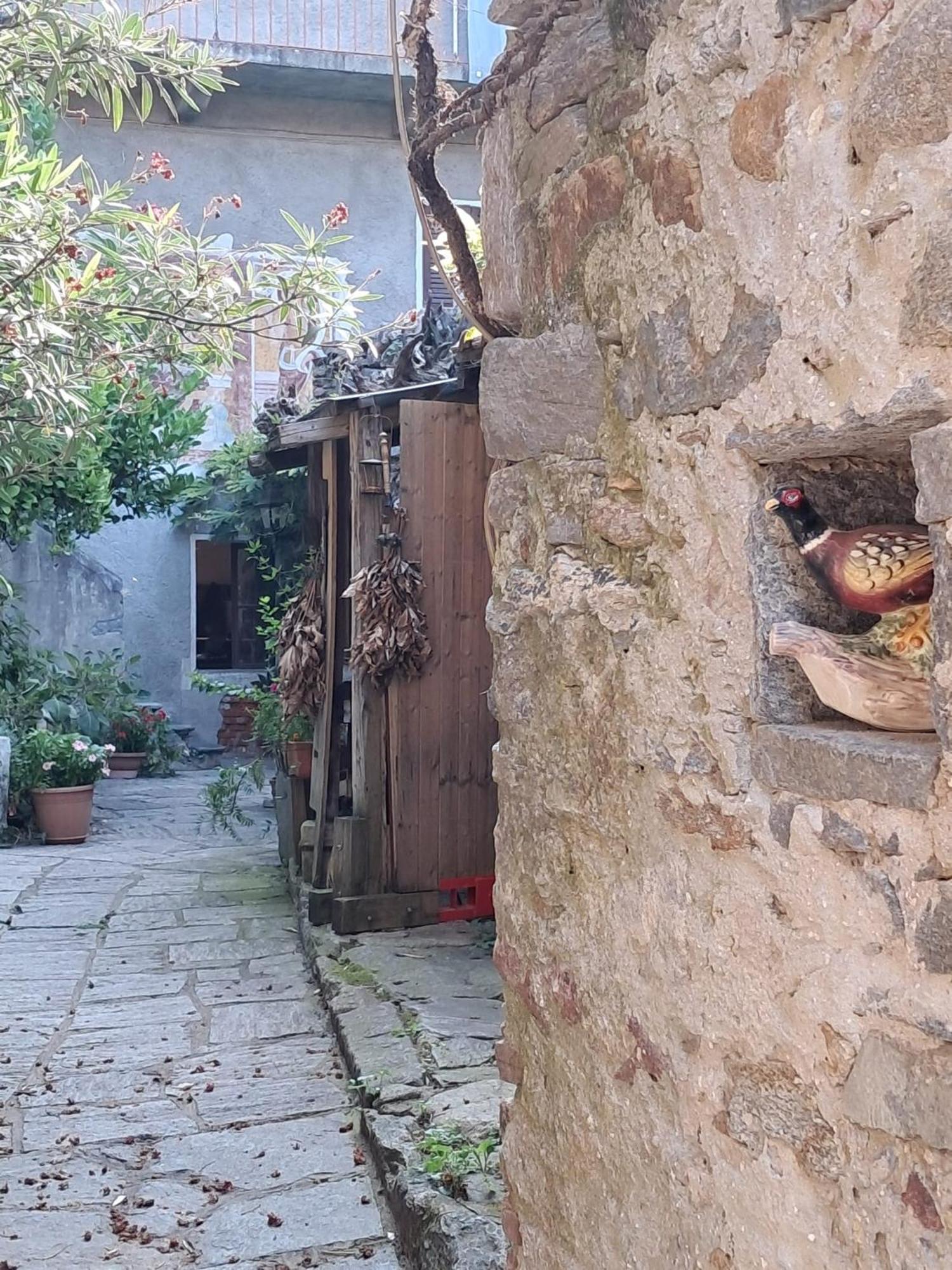 CastelveccanaNonna Anita住宿加早餐旅馆 外观 照片