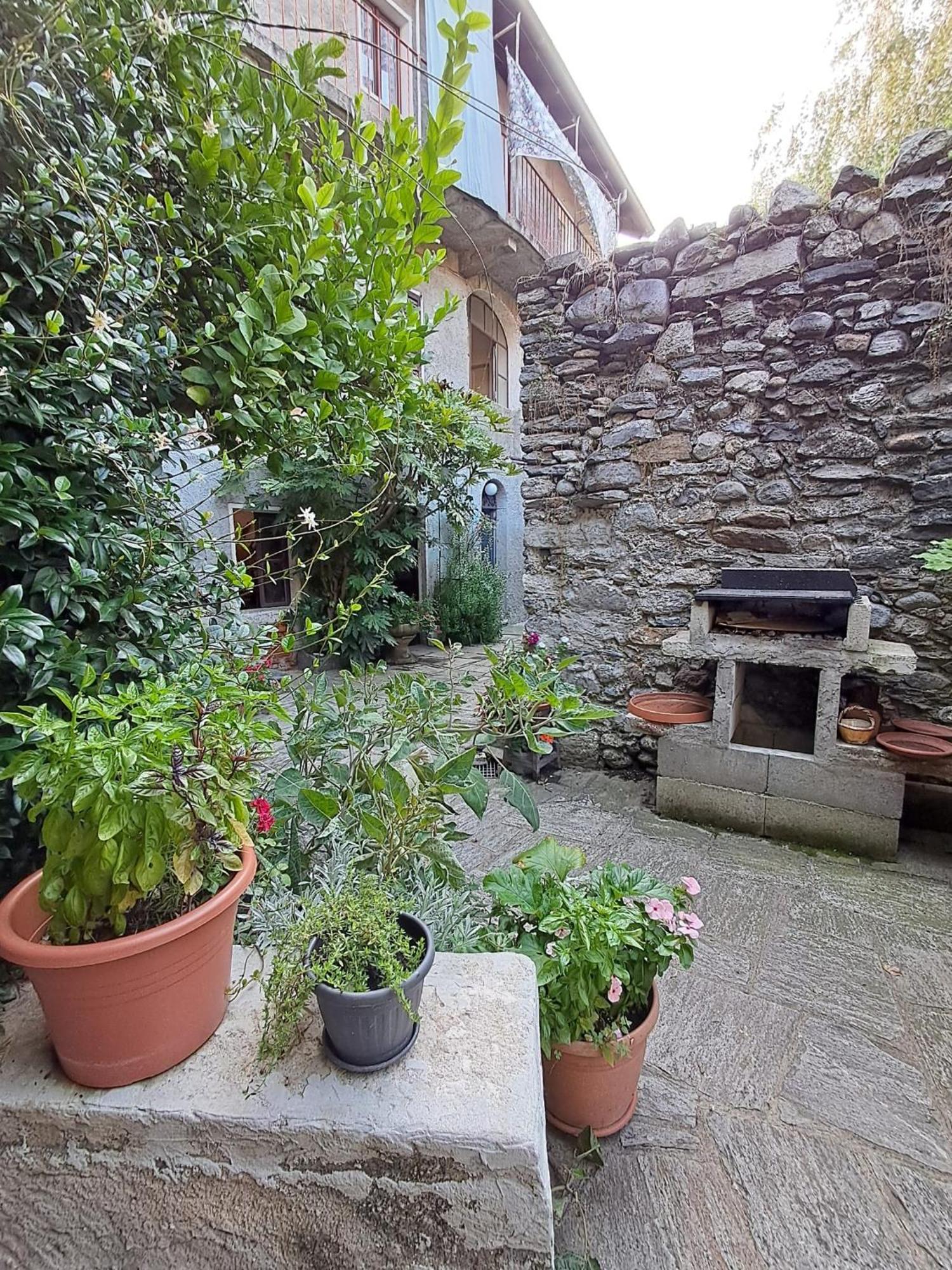 CastelveccanaNonna Anita住宿加早餐旅馆 外观 照片